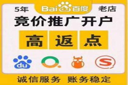 SEM精准广告投放的五大成功案例